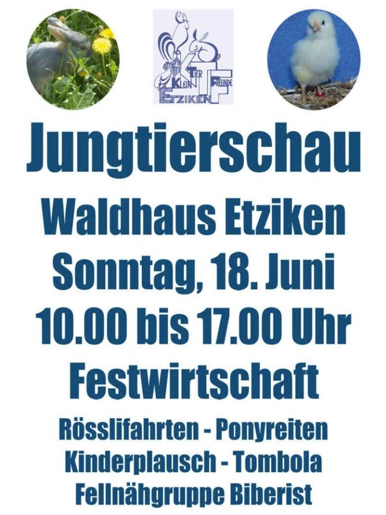 Plakat